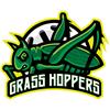 Grasshoppers